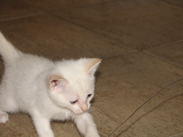 20100206 424.JPG
